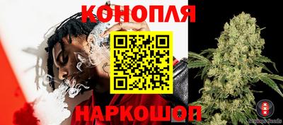 PSILOCYBIN Апшеронск